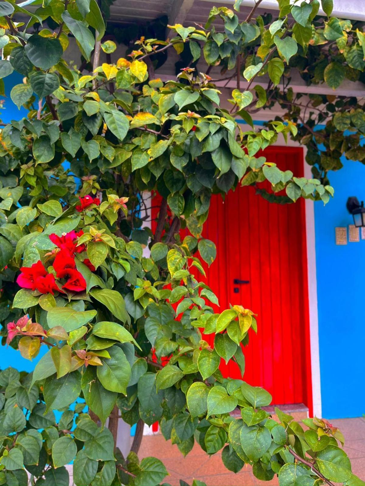 Hostel Pequi *
